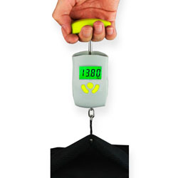 Scales-canter electronic 50kg/10g household