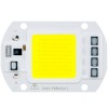 COB LED 50W<gtran/>  White cold 220V AC<gtran/>